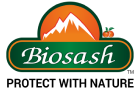 biosash business plan pdf download